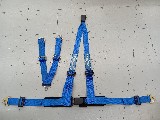 �J�[�p�i ����