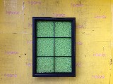 �J�[�p�i ����