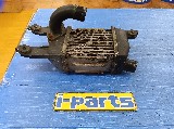�J�[�p�i ����