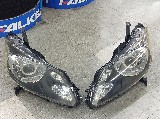 �J�[�p�i ����